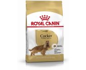 Royal Canin Cocker Adult 3kg (BHN)