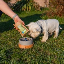 ANIMAL ISLAND Adult Medium Salmon - dry dog...