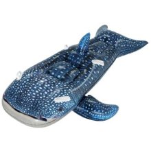 Bestway Whaletastic Wonders 2-person Kids...