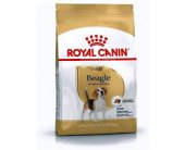 Royal Canin Beagle Adult 3kg (BHN)