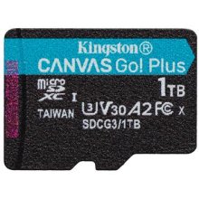 Mälukaart Kingston Technology Canvas Go!...