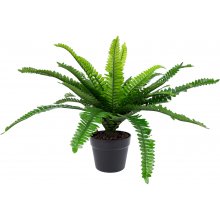 Home4you Kunsttaim BOSTON FERN, H60cm...