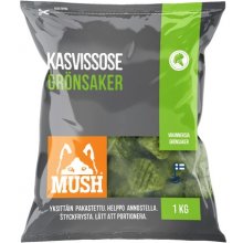 MUSH VAISTO KOERA TÄIENDSÖÖT TOORTOIT...