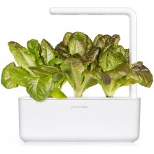 Click & Grow Smart Refill Punane Rooma salat...