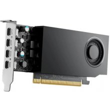 Videokaart PNY A400 NVIDIA 4 GB GDDR6