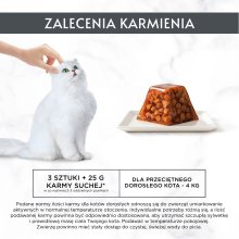 Purina Gourmet Revelations Chunks in jelly...