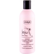 Ziaja Jeju 300ml - Shampoo naistele Yes, All...