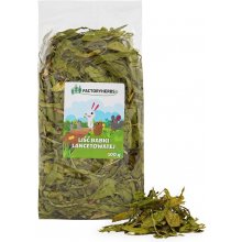 Factoryherbs FACTORY HERBS Ribwort plantain...