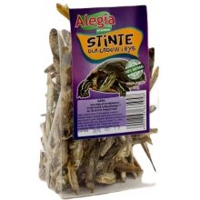 Alegia Stinte - treat for fish and reptiles...