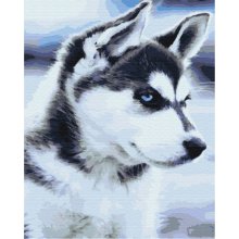 Symag Picture Paint it! Husky puppy
