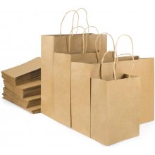 BESTPAK Paper bag with handle BSTech...