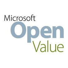 MICROSOFT WIN SRV ESSENT OLV GOV LIC W/SA...