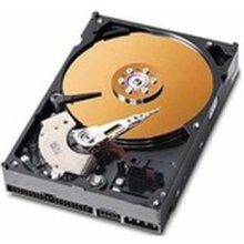 Kõvaketas CoreParts Harddisk 40GB 3.5 IDE...