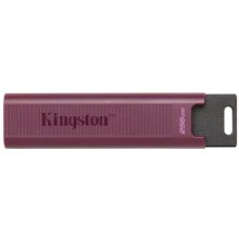 Kingston Technology DataTraveler 256GB Max...