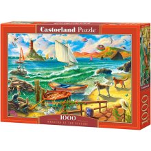 Castor Puzzle 1000 elements Weekend at the...
