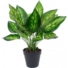 Home4you Kunsttaim DIEFFENBACHIA, H45cm...