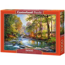 Castorland Puzzle 3000 elements Along the...