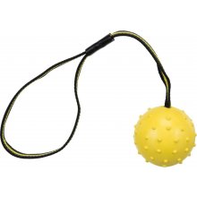 Trixie Toy for dogs Sporting ball on strap...