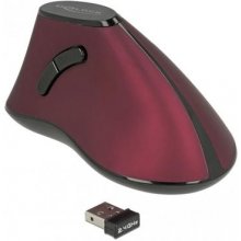 DELOCK 12528 mouse Right-hand RF Wireless...
