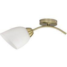 Activejet Classic single wall lamp - BENITA...