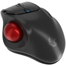 Мышь Keysonic KSM-6101RF-EGT mouse Office...