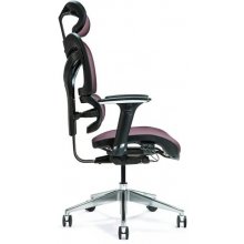 BEMONDI Ergonomic office chair ERGO 600 plum