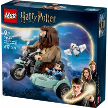 Lego HARRY POTTER 76443