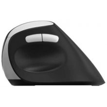 Rapoo EV250 mouse Right-hand RF Wireless...
