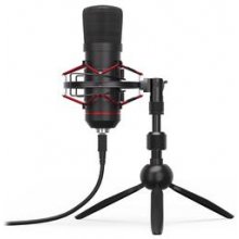 Endorfy Solum T, microphone (black, USB-C)