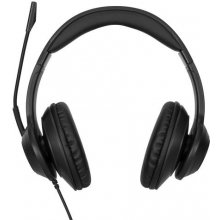 Targus AEH102GL headphones/headset Wired...