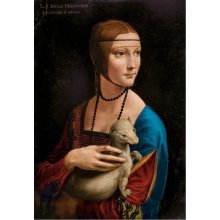 Castor Puzzles 1000 elements Lady with...