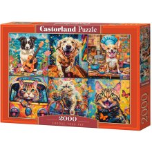 Castor Puzzle 2000 elements Dog Cat Choose...