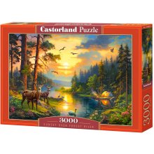 Castor Puzzle 3000 elements Sunset over...