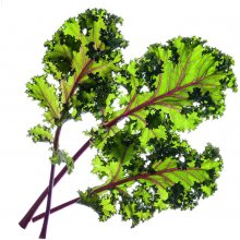 Click & Grow Smart Garden refill Red Kale...