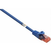 Renkforce RF-5043878 networking cable Blue...