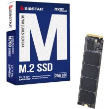 Жёсткий диск Biostar SSD M760 256GB