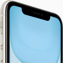 Apple iPhone 11 15.5 cm (6.1") Dual SIM iOS...