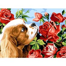 Norimpex Image Painting by numbers - Dog...