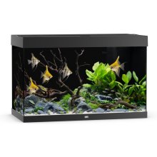 Juwel Akvaarium Rio LED 290 L must