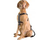 Europet Bernina D&D Dog-Secure M...