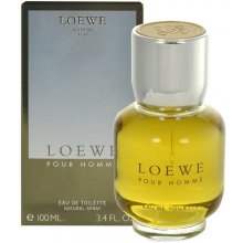 Loewe Pour Homme 100ml - Eau de Toilette for...