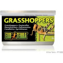 Exo Terra Grasshoppers, 34g