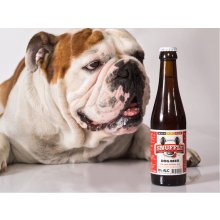 Snuffle Dog Beer Mixed Bottle 25cl