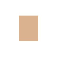 MAC Studio Fix Powder Plus Foundation NC20...