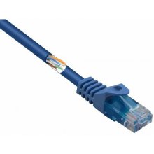 Renkforce RF-5043862 networking cable Blue...