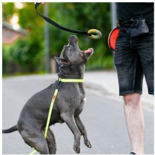 DINGO "Ringo" Rõngas Veniva Käepidemega 65cm
