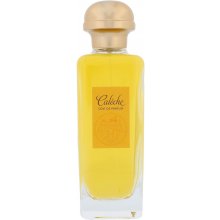 Hermes Caleche 100ml - Eau de Parfum for...