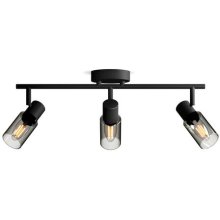 Philips by Signify Philips Palms...