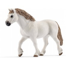 Verschiedene Welsh pony mare