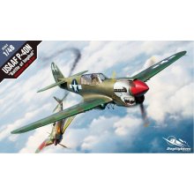 Academy USAAF P-40N Batt le of Imphal 1/48